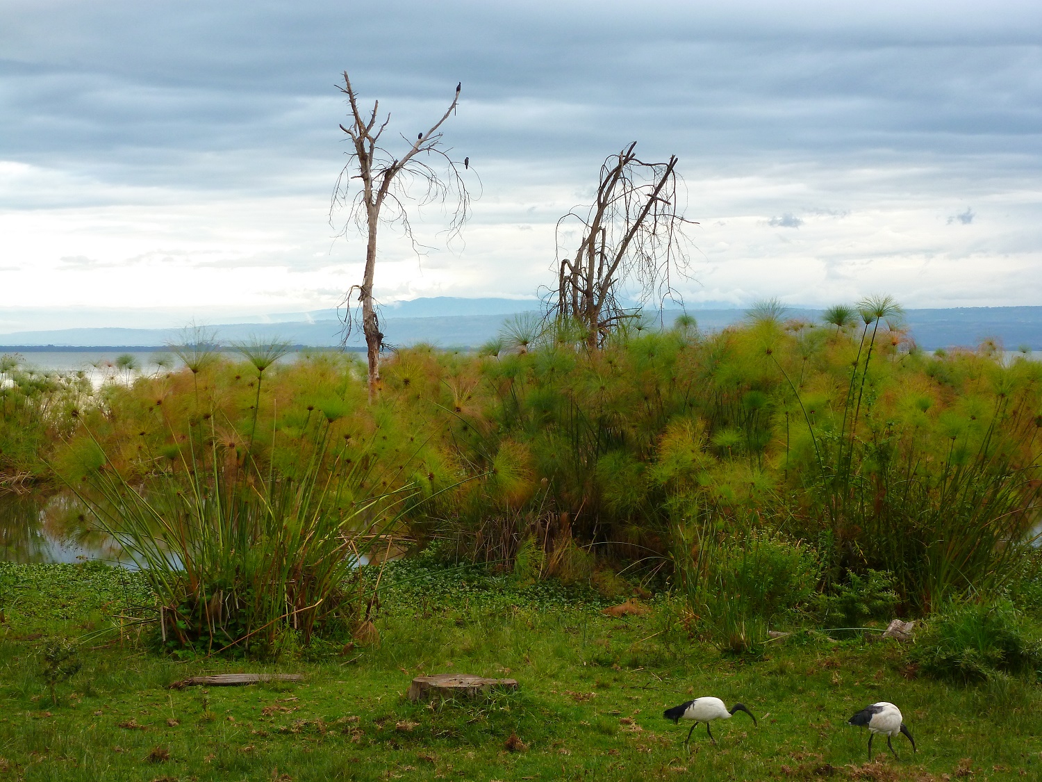 lieux incontournables kenya