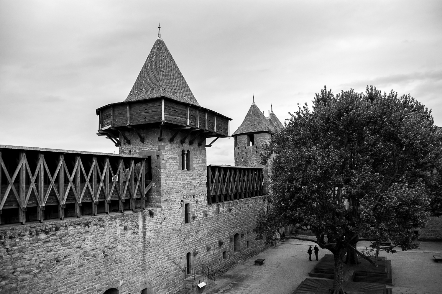 découvrir l'aude visiter Carcassonne